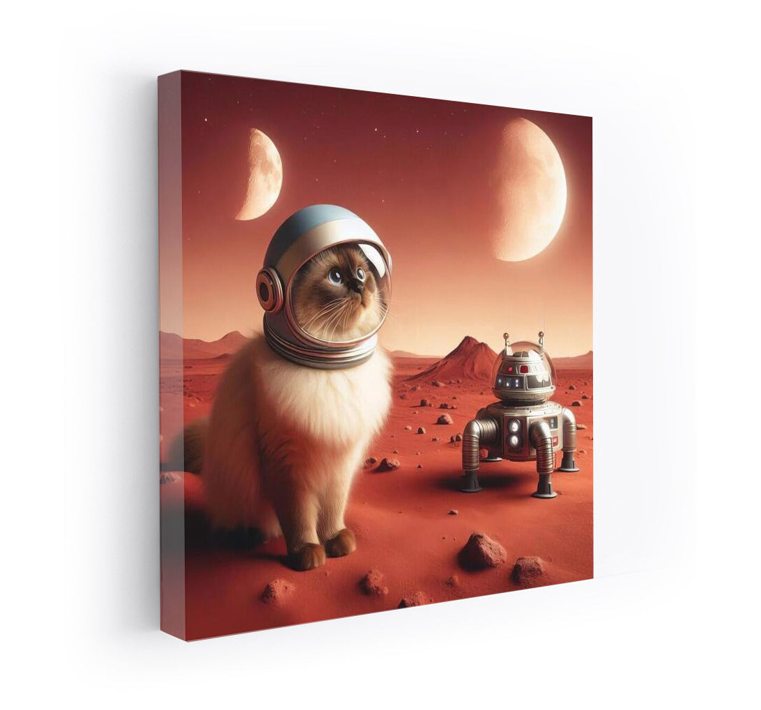 Burmese Cat on Mars: Space Journey