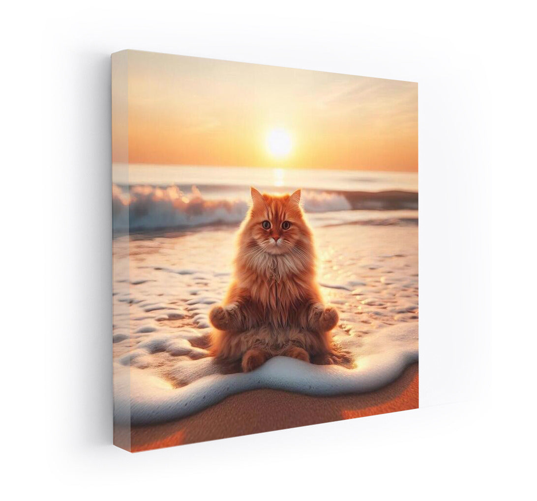 Sunset Meditation of a Cat on the Beach