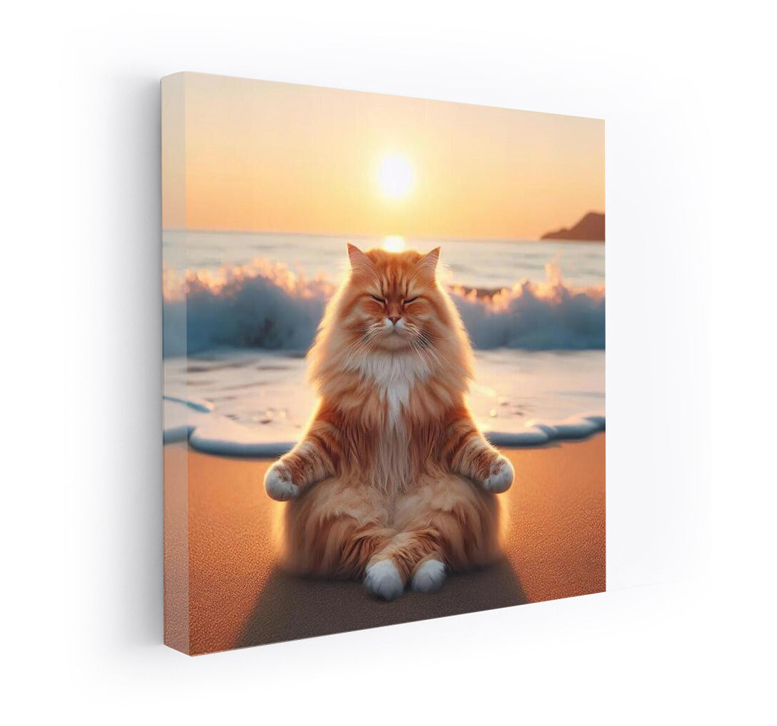 Sunset Meditation: Cat on the Beach