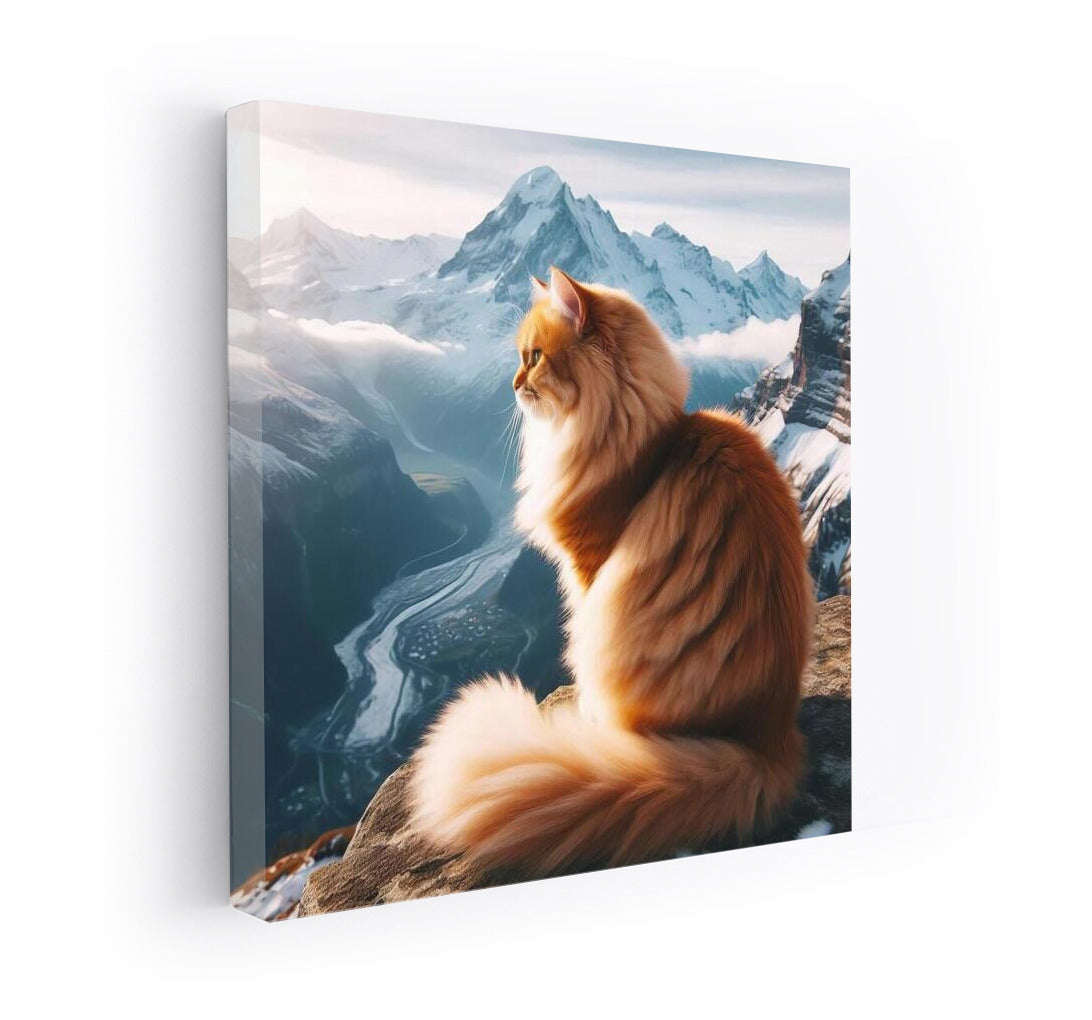 Cat on the Top: A View from Above for Nature Lovers