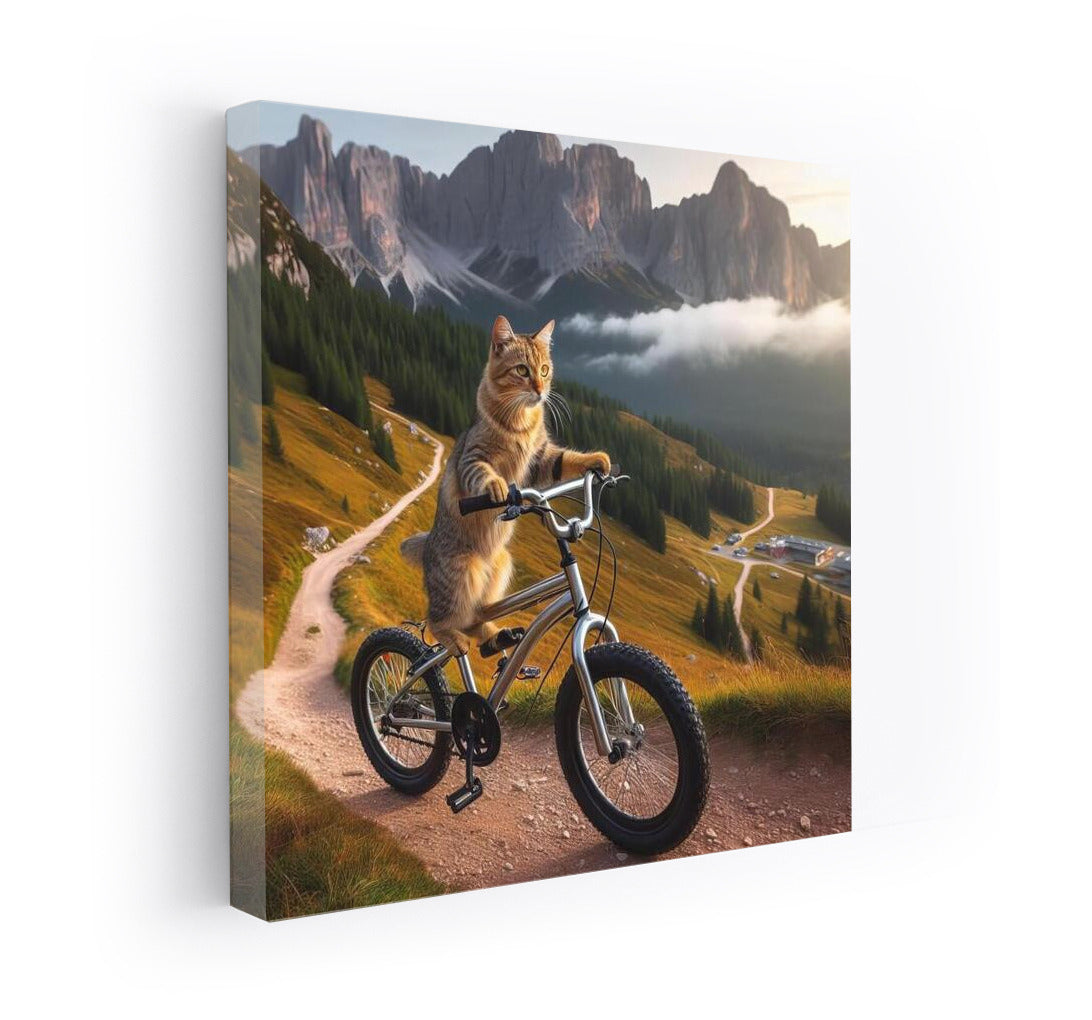 Cat's Mountain Bike Adventures