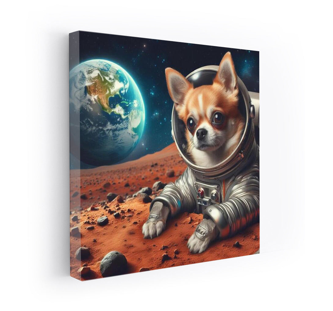 Chihuahua's Space Adventure: A View from Mars to Earth