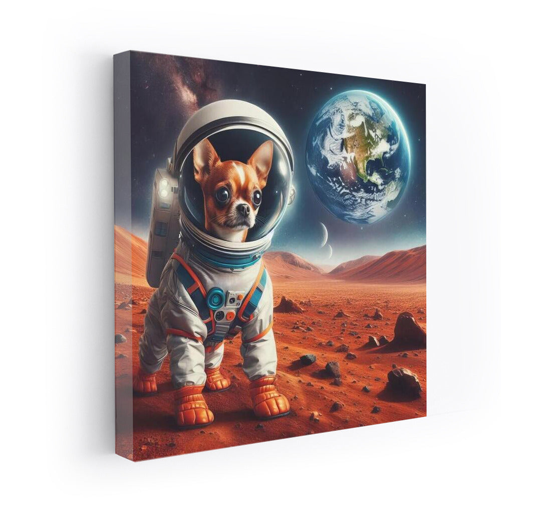 Space Chihuahua: An Interplanetary View from Mars to Earth