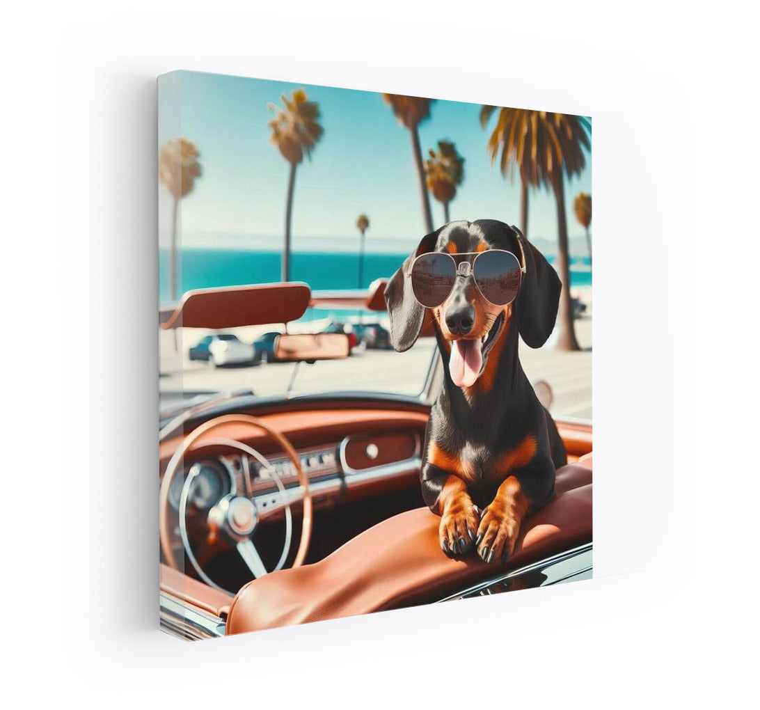 Dachshund with Glasses on Retro Convertible by the Ocean: Summer Dream