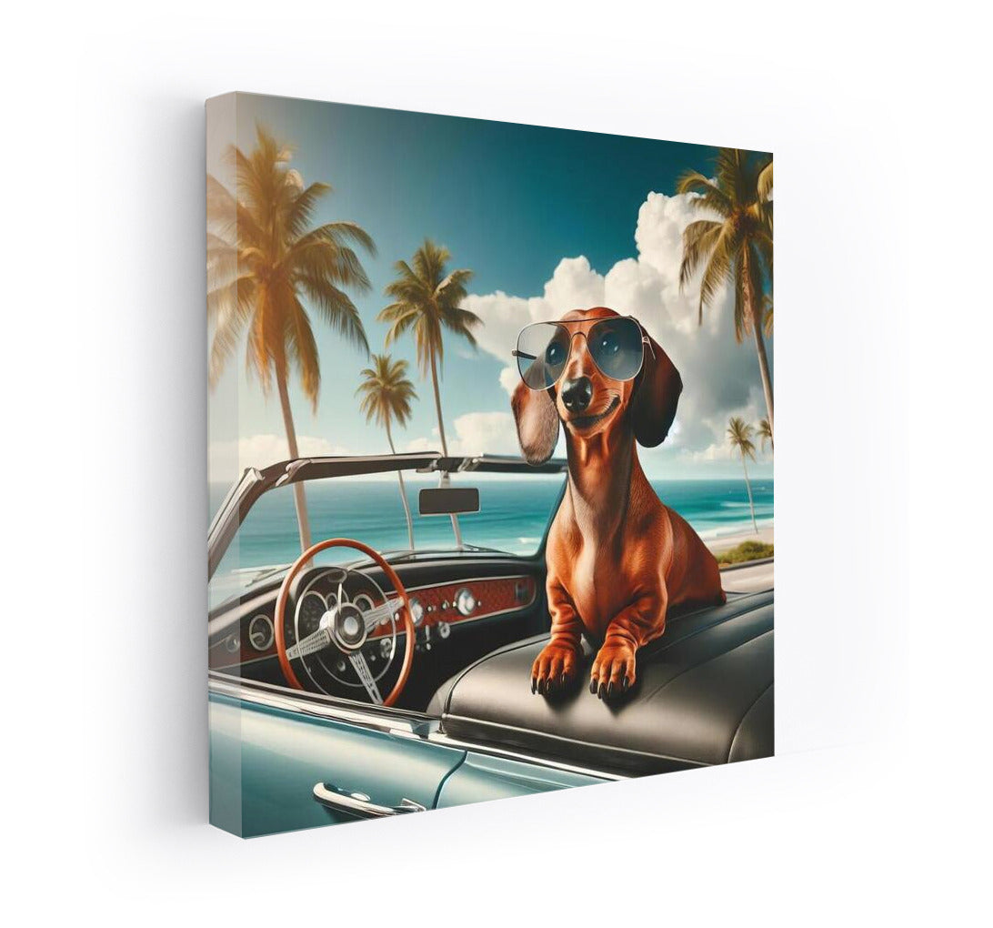 Dachshund in Glasses in Retro Car among Palm Trees: Summer Freedom