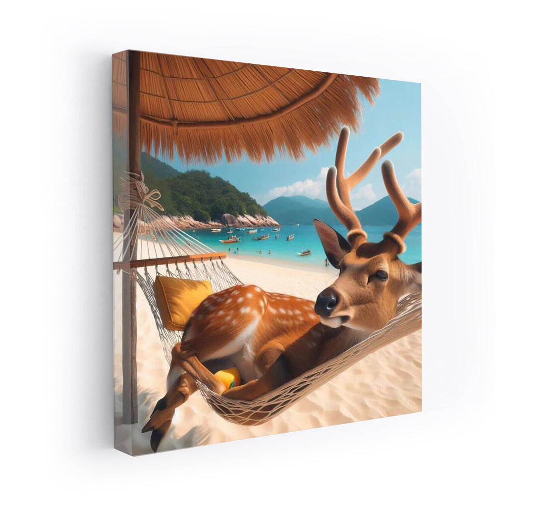 Deer in a Hammock: Summer Beach Vacation