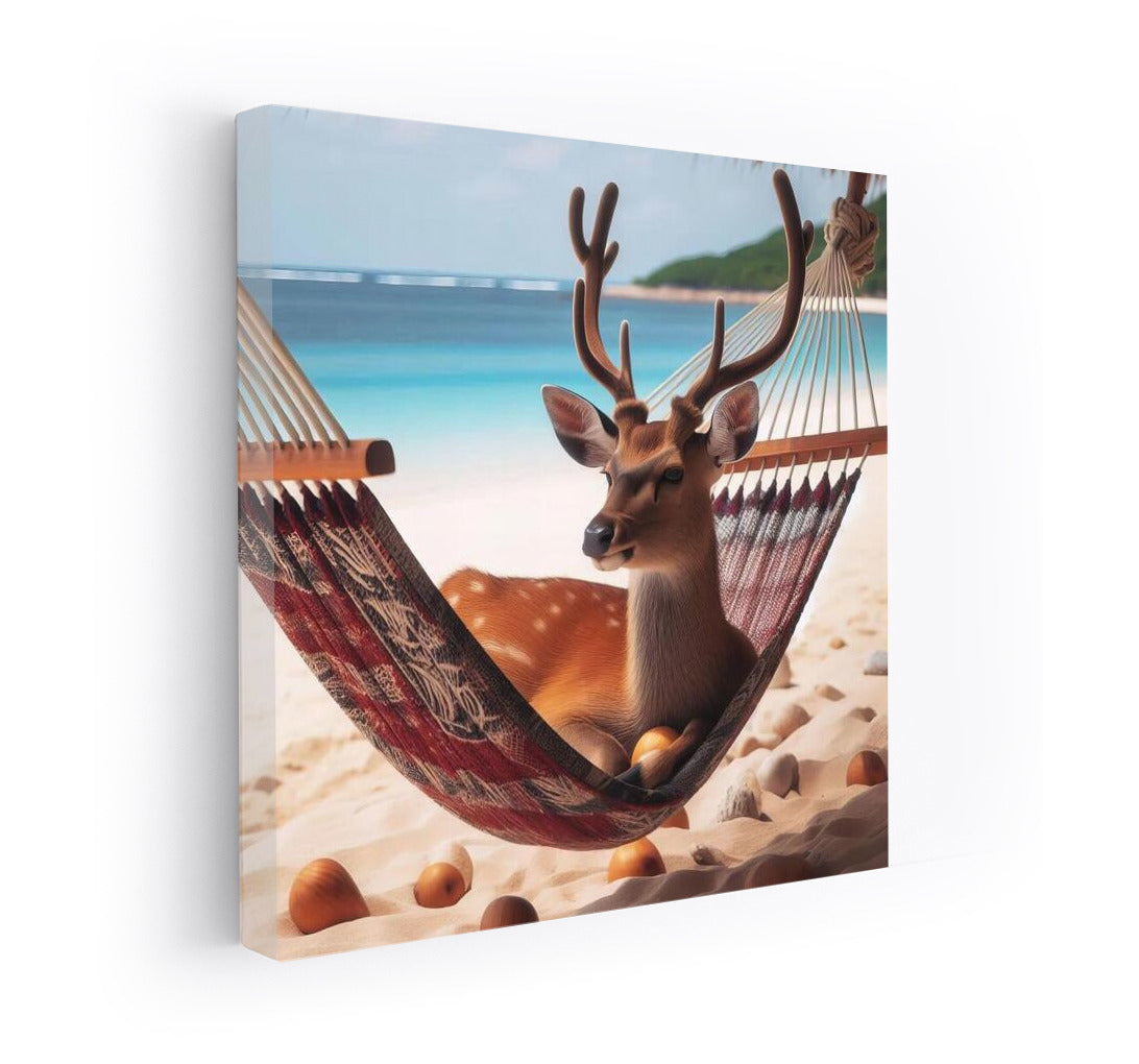 Deer in a Hammock: Summer Beach Vacation