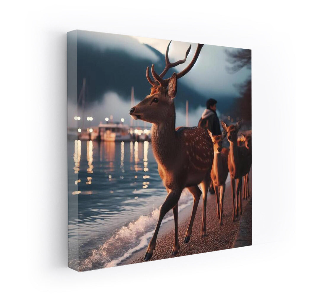 Evening walk of a deer along the embankment
