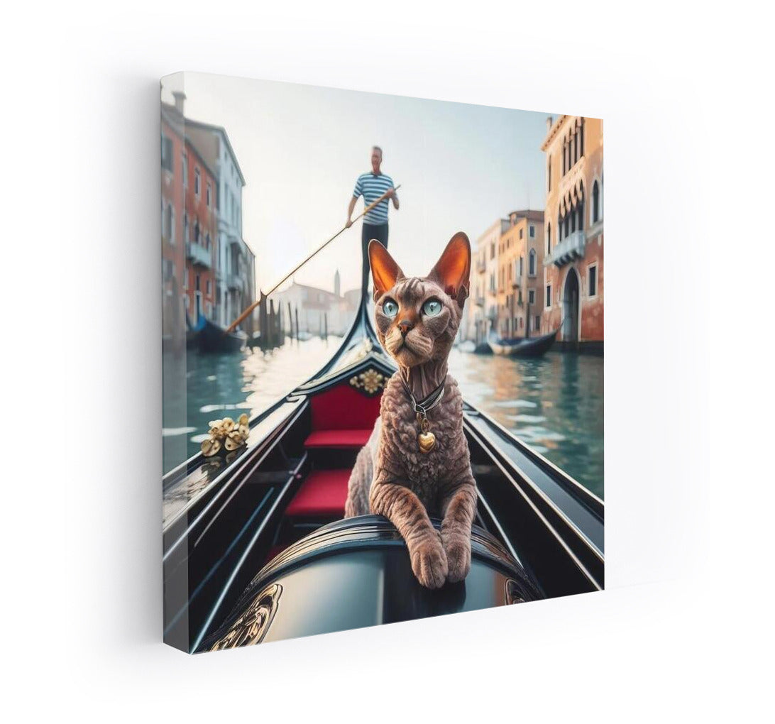 Devon Rex on Gondola: Venice Tranquility