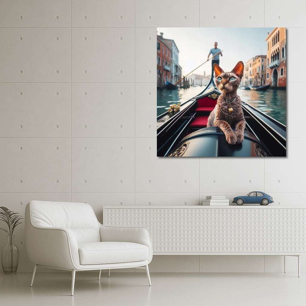Devon Rex on Gondola: Venice Tranquility
