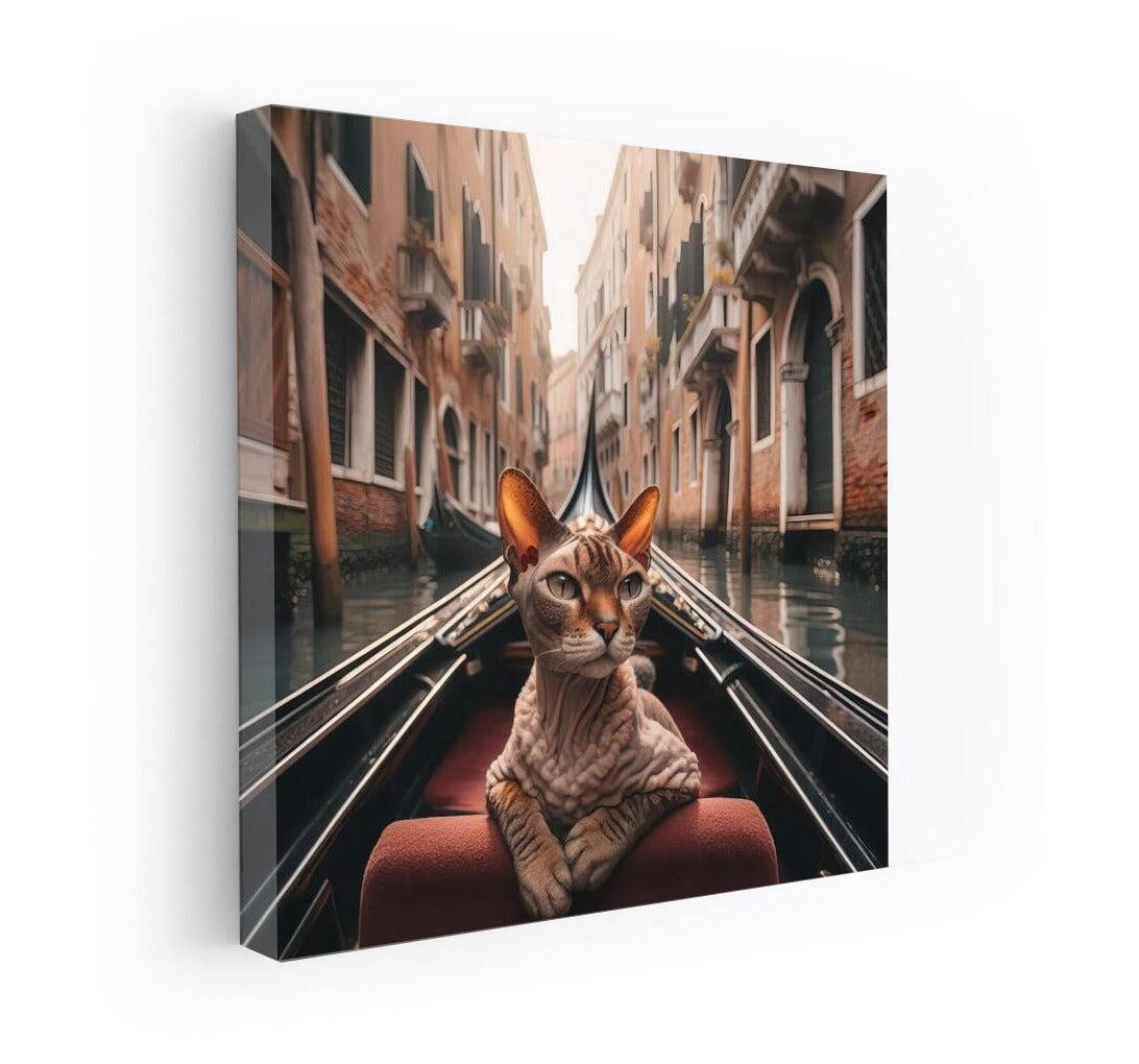 Devon Rex on a Gondola: A Venice Journey