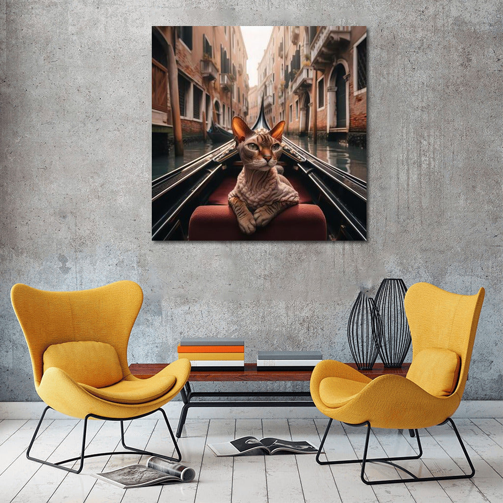 Devon Rex on a Gondola: A Venice Journey