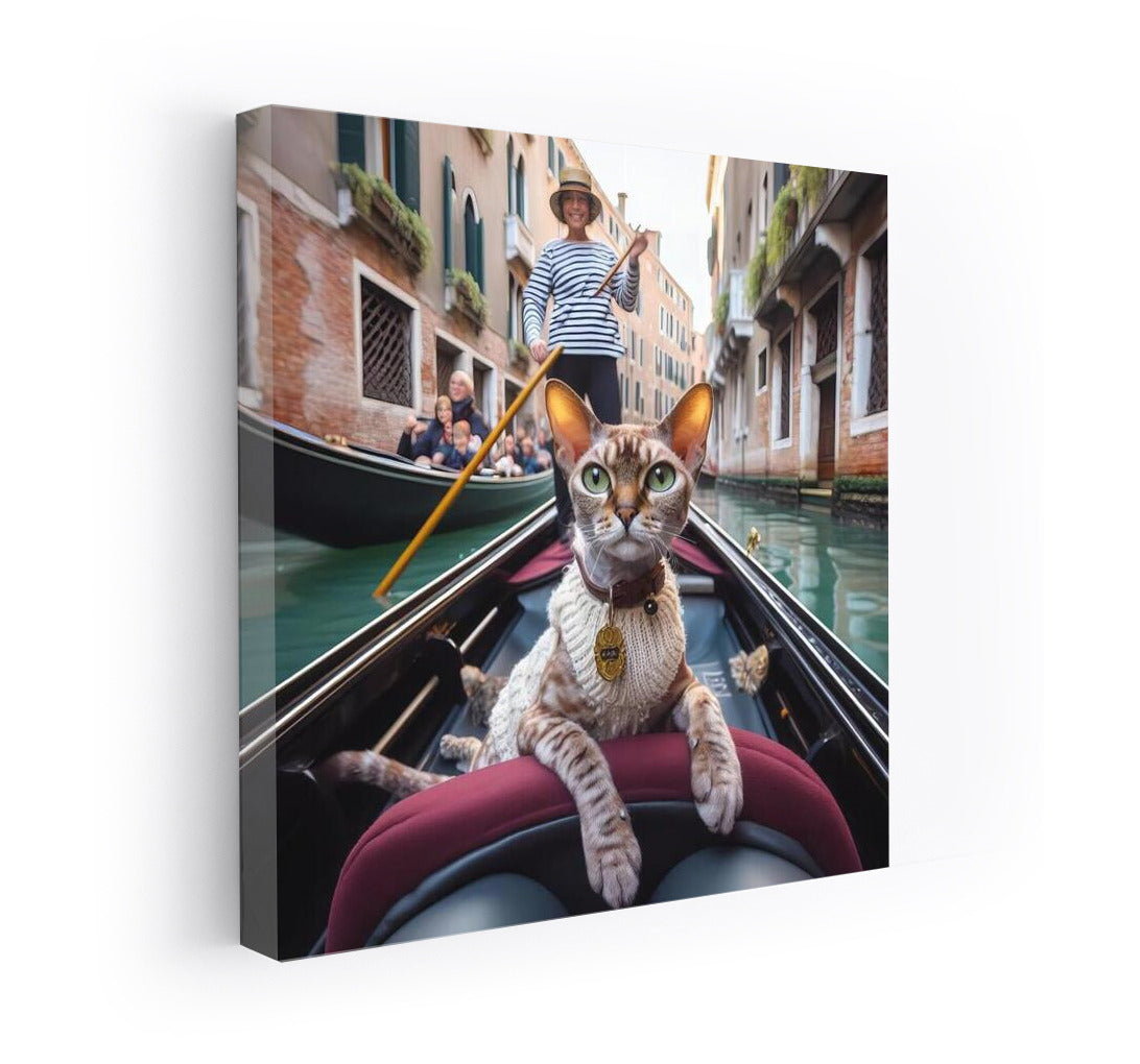 Devon Rex on Gondola: Venetian Tranquility