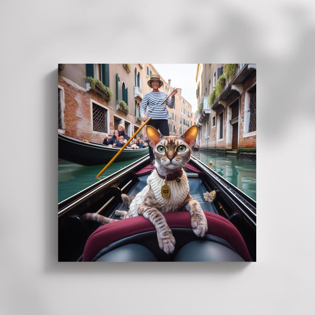 Devon Rex on Gondola: Venetian Tranquility