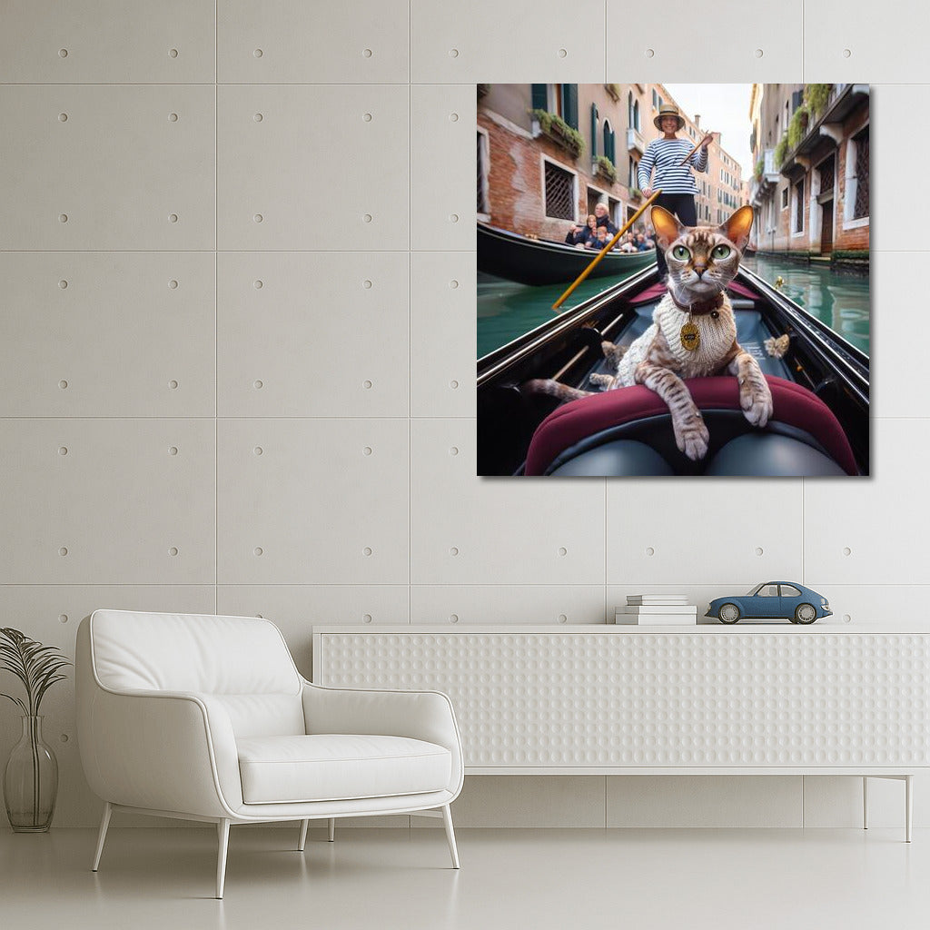 Devon Rex on Gondola: Venetian Tranquility