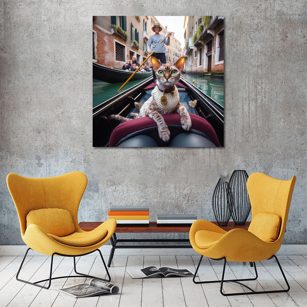 Devon Rex on Gondola: Venetian Tranquility