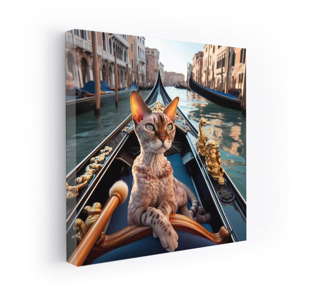 Devon Rex on a Gondola: A Venetian Idyll