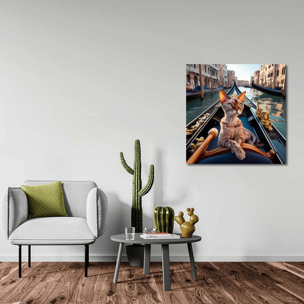 Devon Rex on a Gondola: A Venetian Idyll