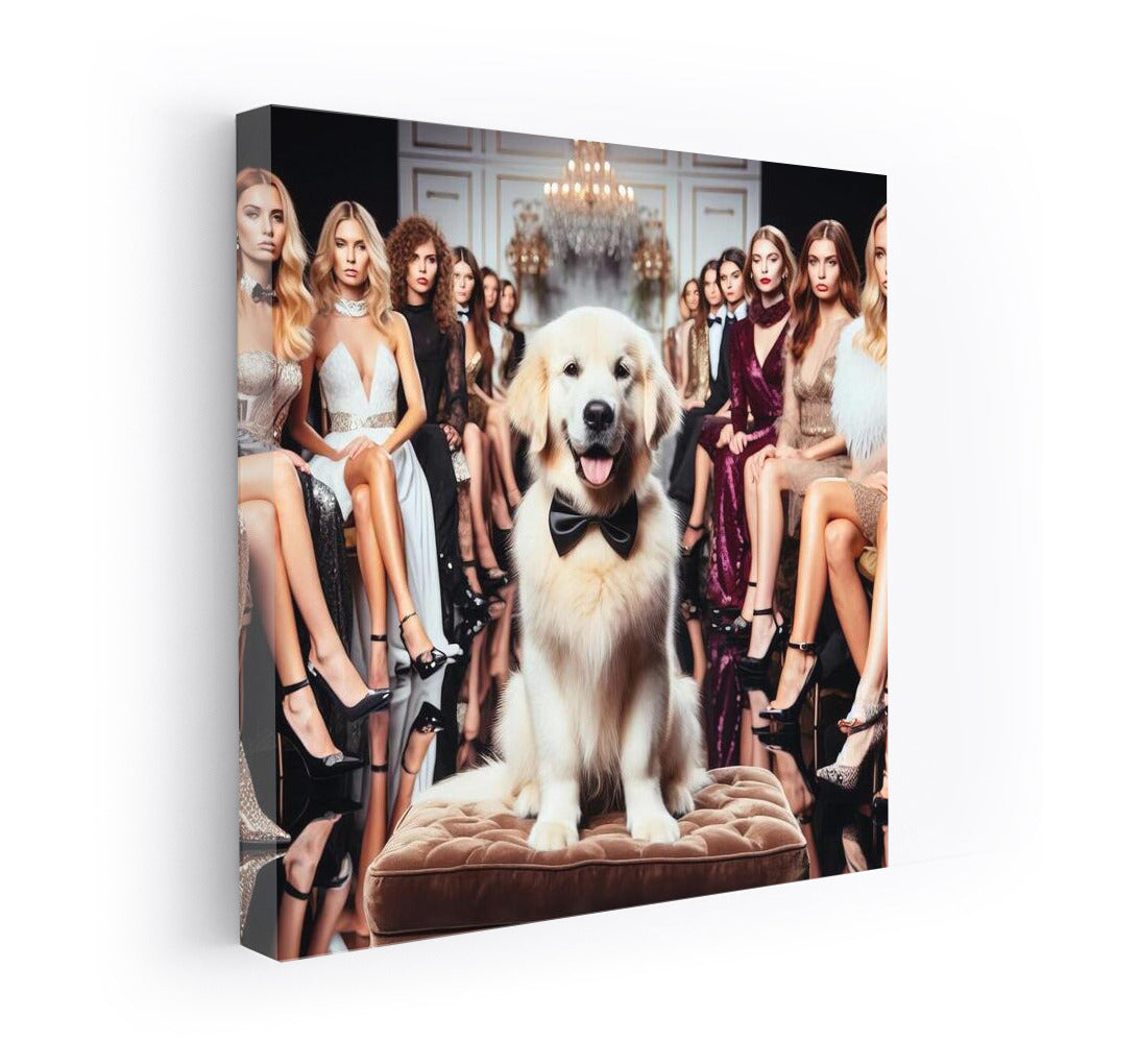Fluffy Fashionista on the Catwalk: Dog at the Fashion Show 2