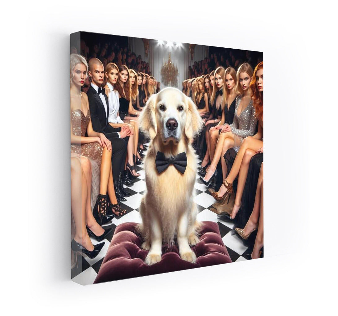 Stylish Dog on the Catwalk: Fashion Show for Four-Leggeds