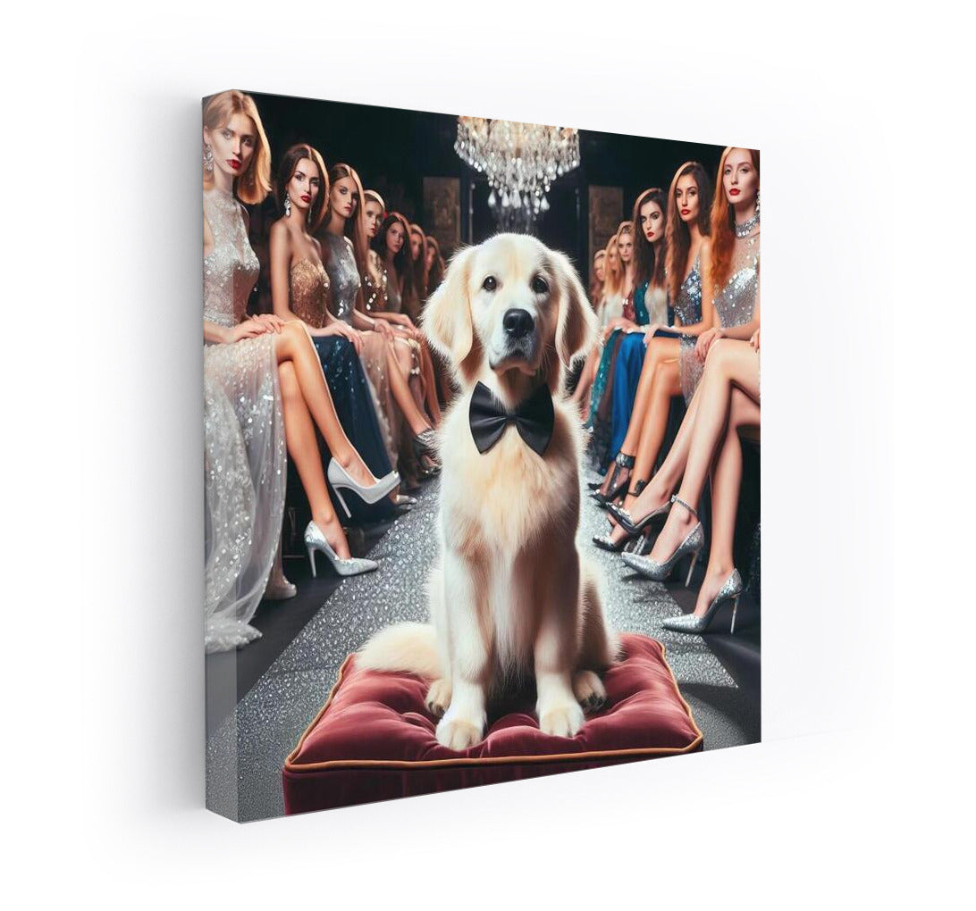 Stylish Poodle on the Catwalk: Elegance and Charm