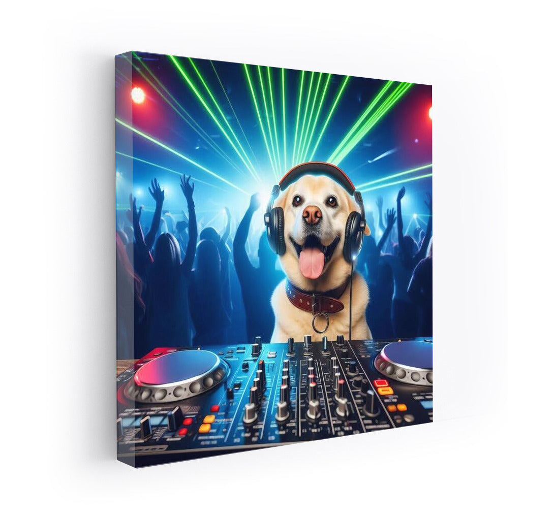 Party Mix by DJ Psa: Energy and Rhythms for Your Room