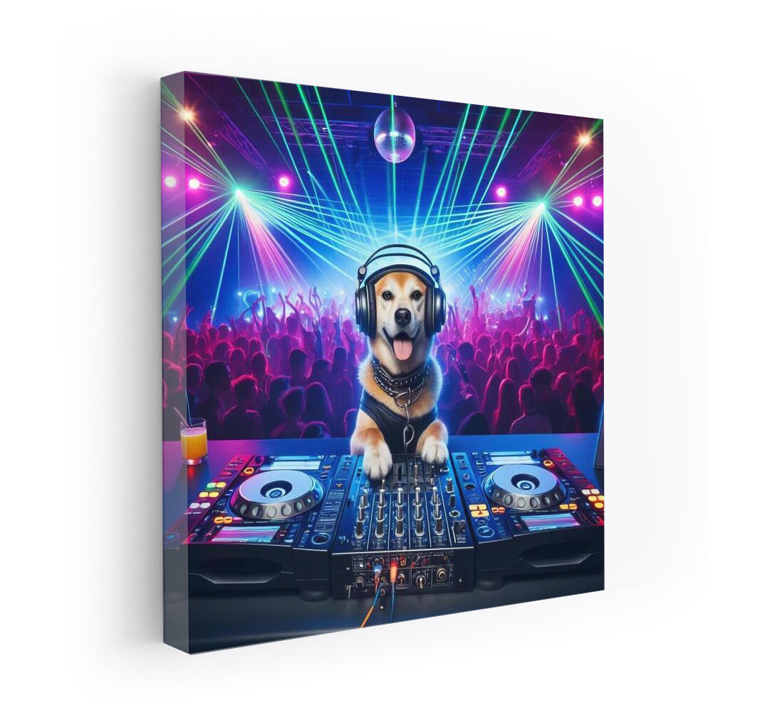 Dog DJ: The Party is in Full Swing!