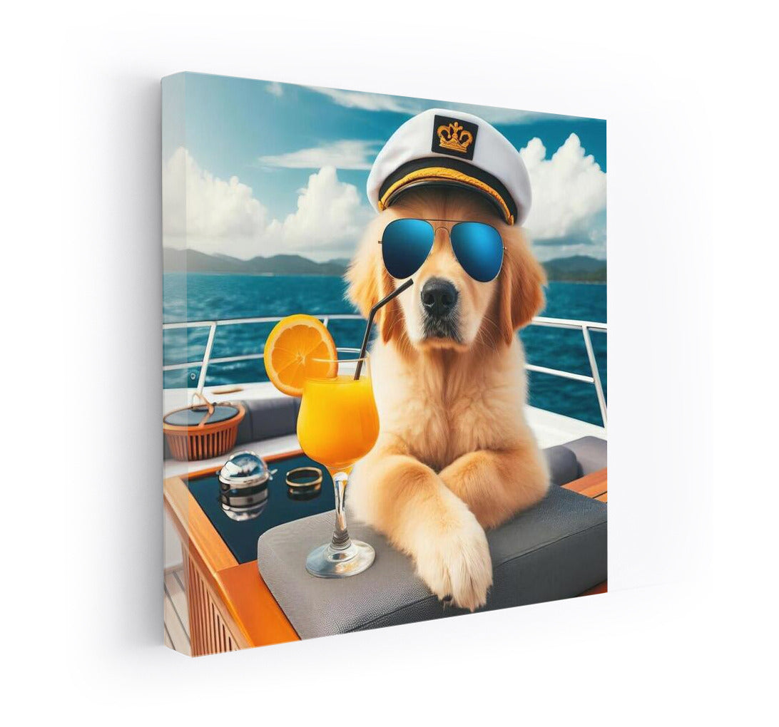 Canine Chic on a Yacht: Dog in a Sea Paradise