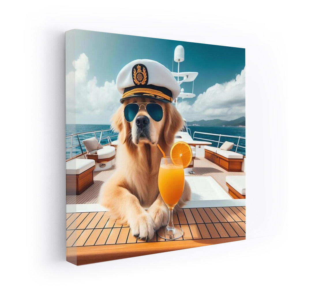 Captain's Life: Stylish Dog on a Luxury Yacht in the Sun