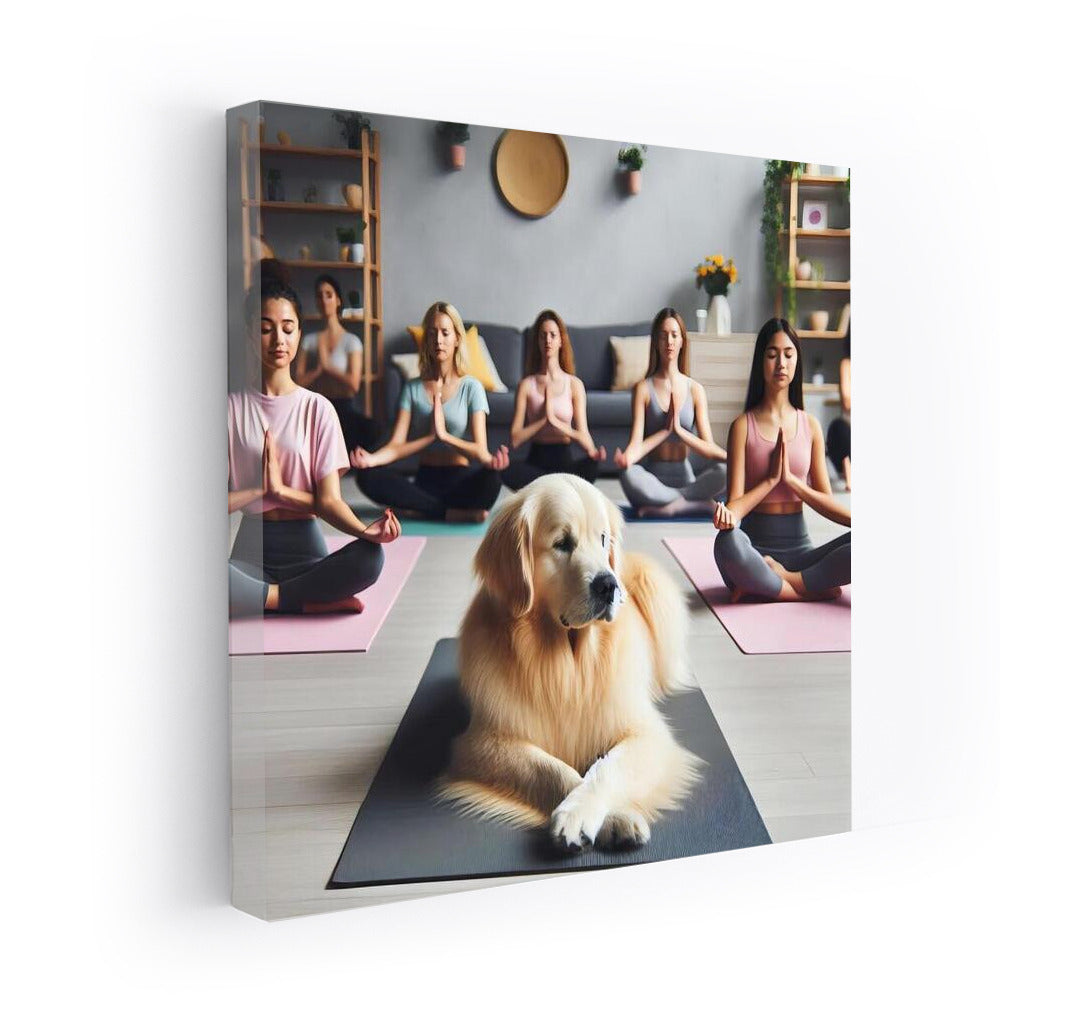 Yoga with Labrador: Calm and Harmony in the Studio