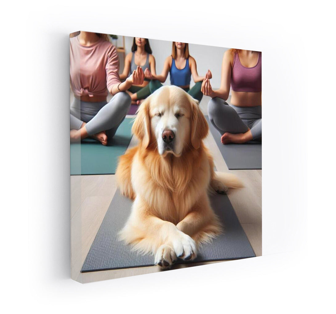 Yoga with Labrador: Harmony and Tranquility in the Studio