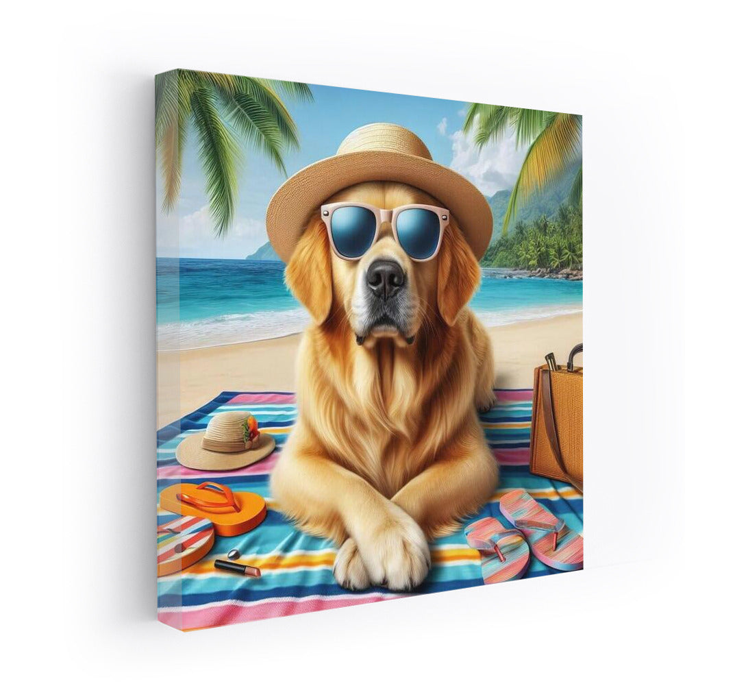 Stylish Labrador on a Fashionable Beach: Summer Vacation in the Interior