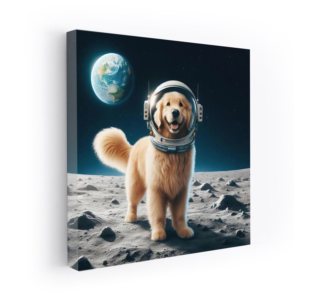 Moondog: Space Adventure to Earth ??