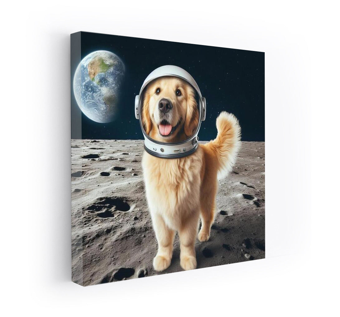 Moon Shepherd: A Dog on the Moon - 2004: A Space Odyssey