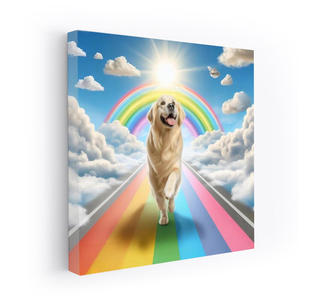 Dog on the Rainbow Road: Sunny Inspiration Every Day