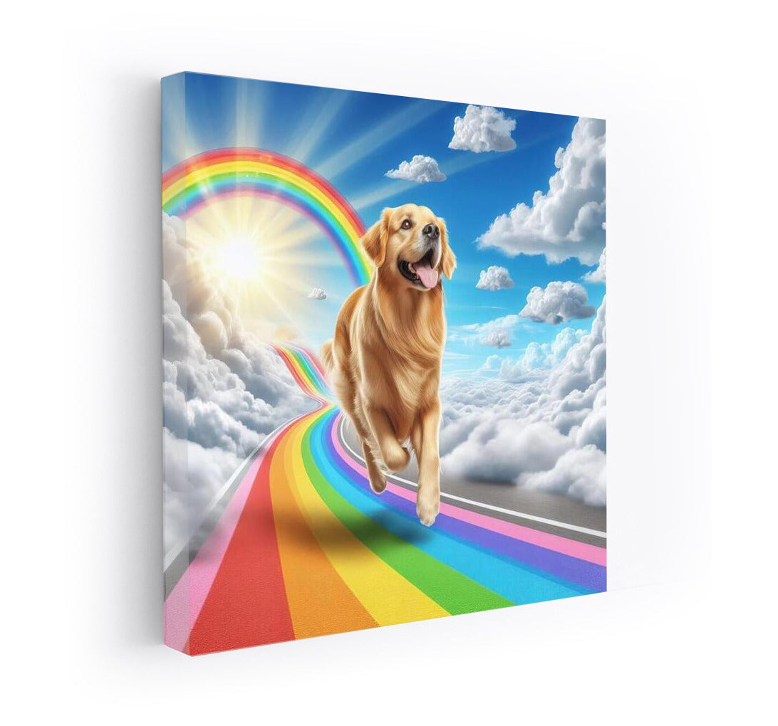 Dog on Rainbow Road among the Clouds: Positive and Smile