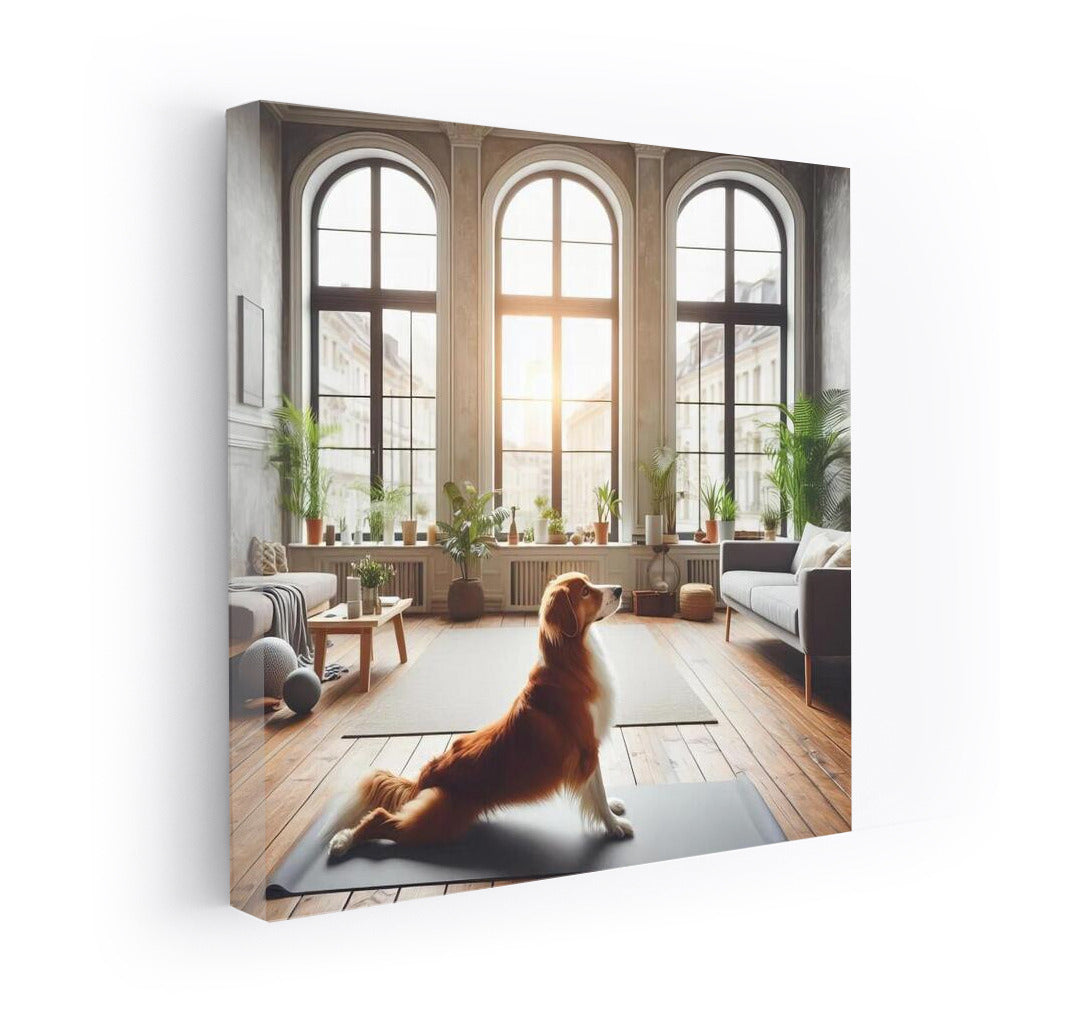 Yoga Champion: Dog in Stylish Studio