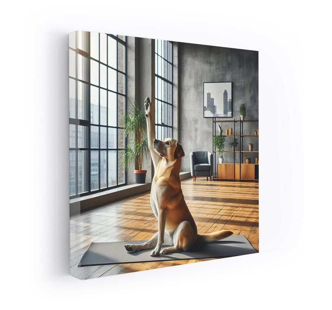 Zen Moment: Dog in Yoga Studio
