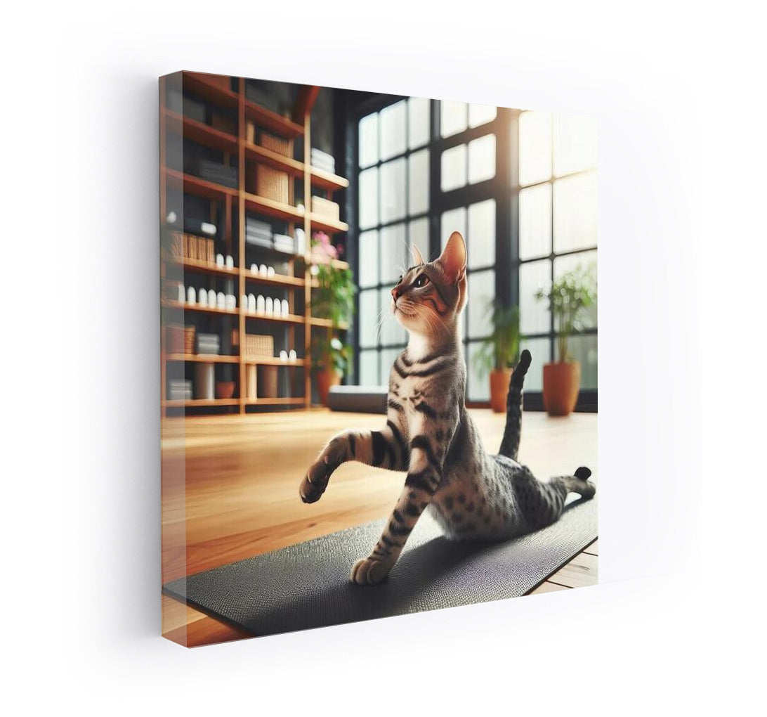 Yoga Studio Egyptian Mau: Grace and Tranquility
