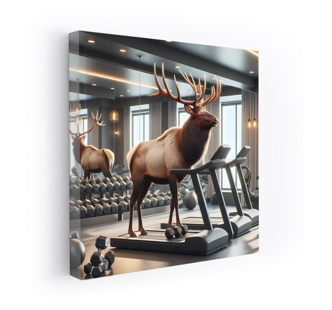 Moose in the Hall: Fitness Energy for Your Walls