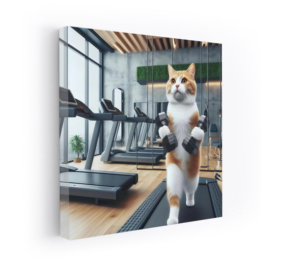 Fitness Cat: Motivational Poster with Dumbbells for the Gym