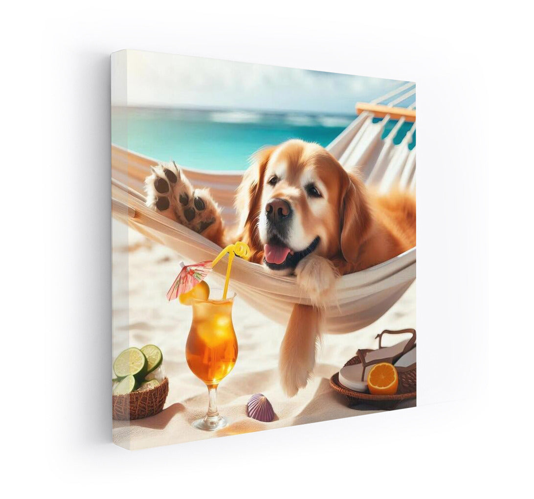 Golden Retriever in a Hammock: Beach Relaxation with a Cocktail