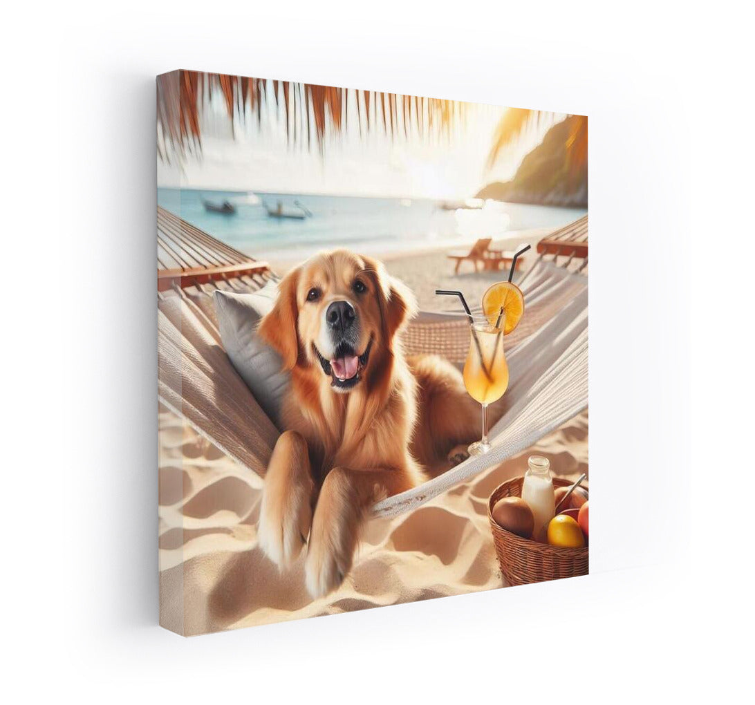 Golden Retriever on the Beach: Cocktail and Hammock
