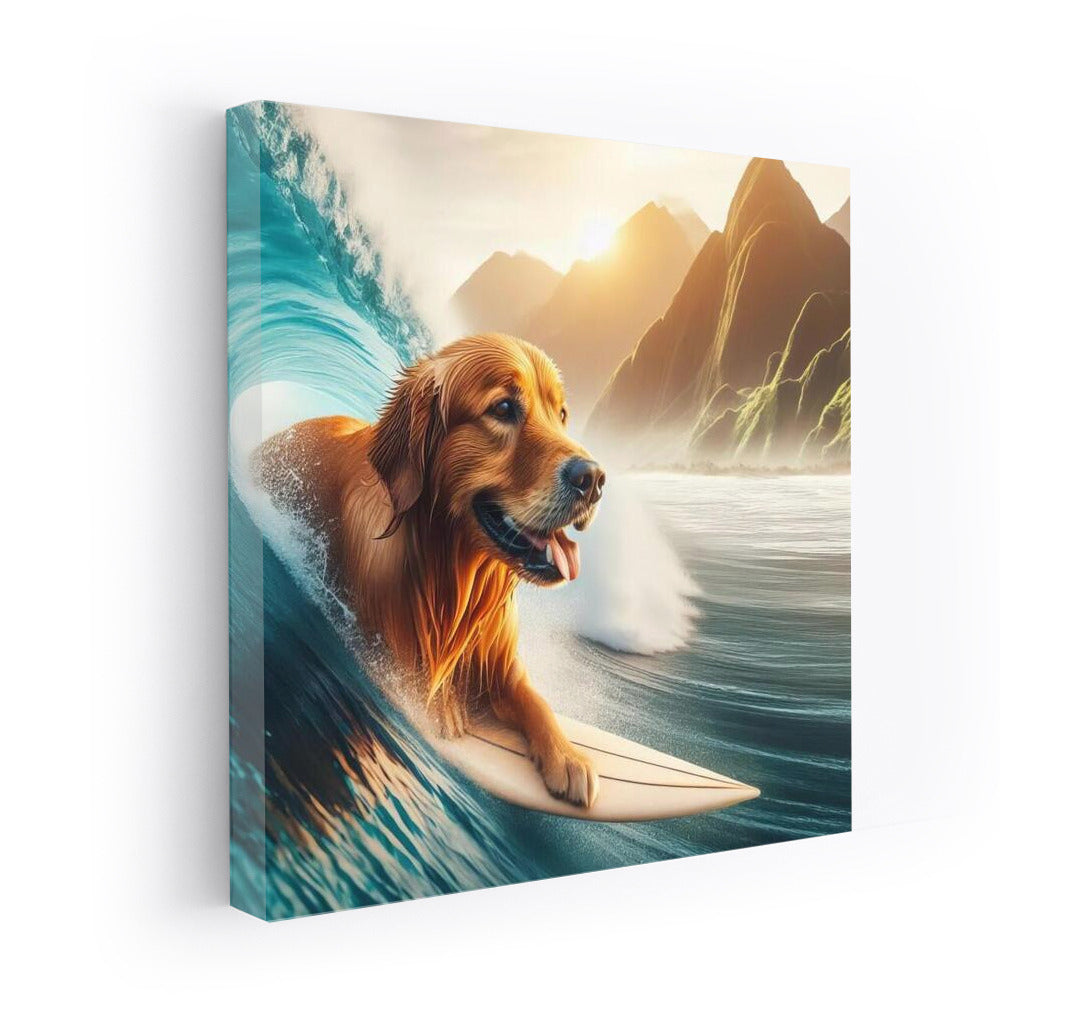 Surfing with a Golden Retriever: Wave Energy