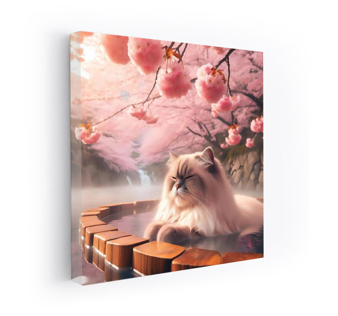 Himalayan Cat in Japanese Onsen among Cherry Blossoms