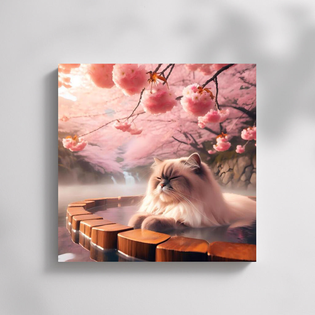 Himalayan Cat in Japanese Onsen among Cherry Blossoms