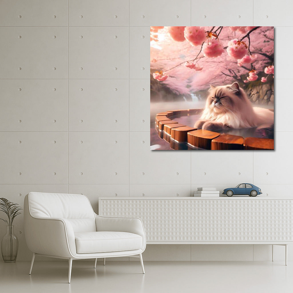 Himalayan Cat in Japanese Onsen among Cherry Blossoms