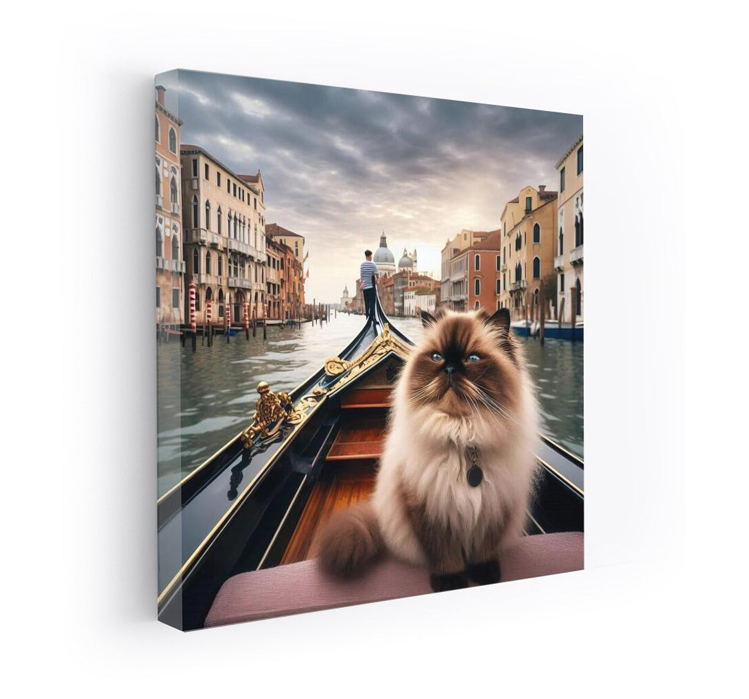 Himalayan Cat on a Gondola: Venetian Idyll