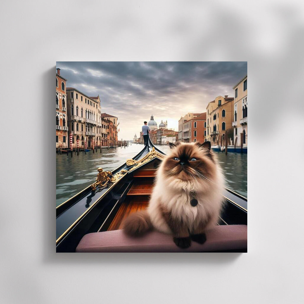Himalayan Cat on a Gondola: Venetian Idyll