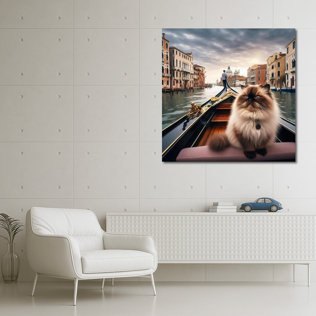 Himalayan Cat on a Gondola: Venetian Idyll